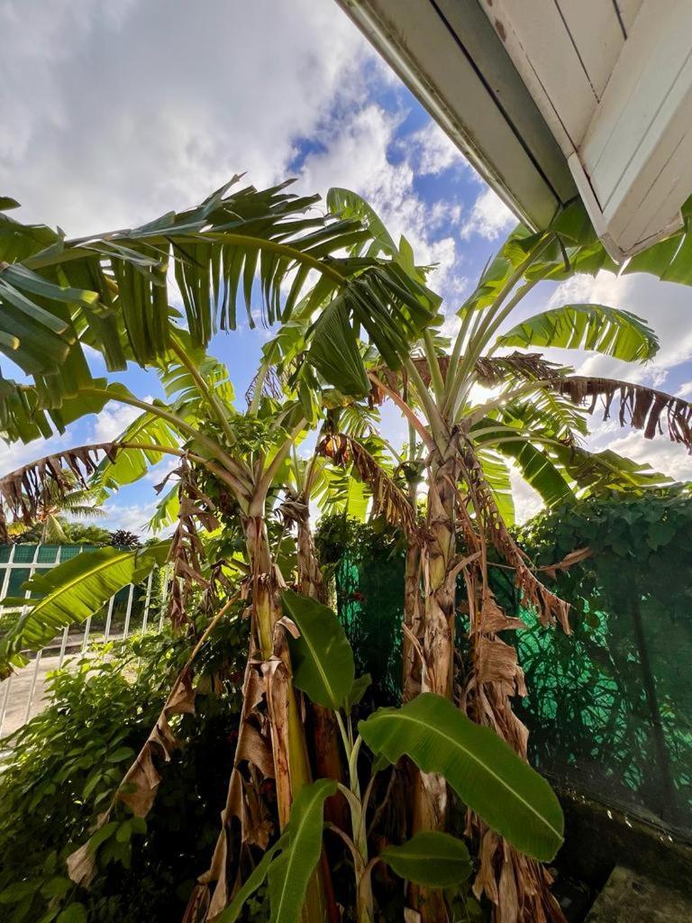 Superbe Villa Bwa Lele Riviere-Salee Exterior foto